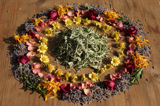 The Best Herbs for Yoni Steaming & What They Do
